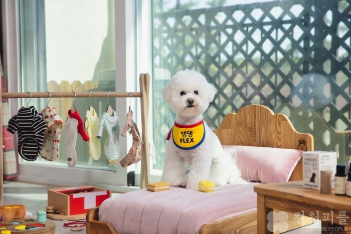 호텔가 "설 연휴, 펫팸족 사로잡는 펫캉스 만나보세요"