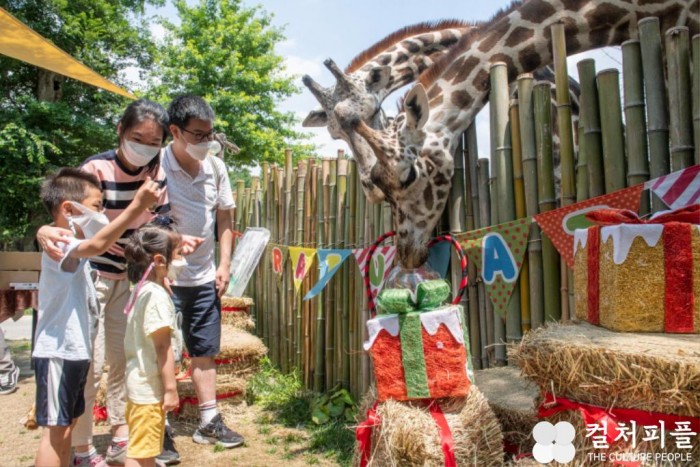 에버랜드, '세계 기린의 날' 맞아 고객들과 기린 보호 활동