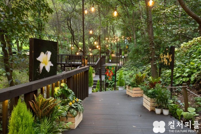 개장 이후 500만명 찾은 숲속 작은 유럽...'제이드가든' 수목원 개장 10주년