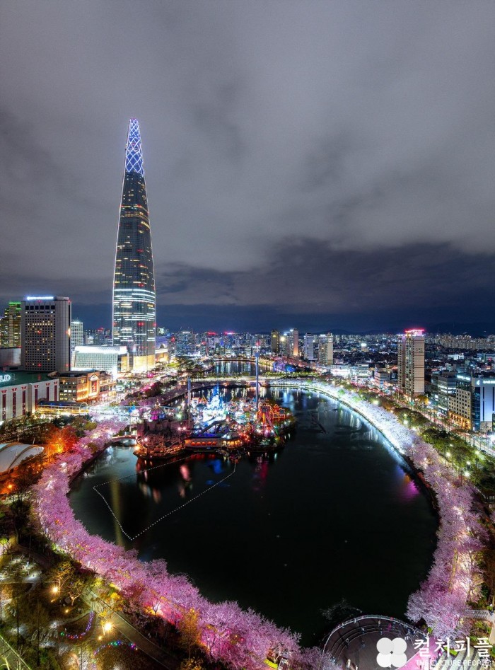 "롯데월드타워에서 '랜선 벚꽃축제' 즐겨보세요"