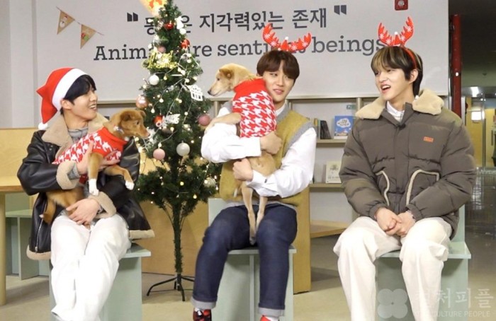 아이돌♥보호소 동물 소개팅...반려동물 입양 권장 예능 <아이돌 소개팅> 19일 ‘온에어’
