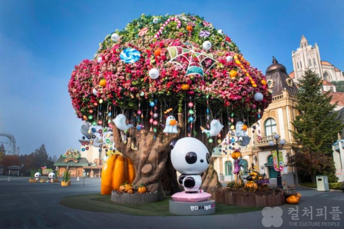 '아기 판다 '푸바오' 100일 기념잔치 벌인다...에버랜드, 11월 '판다를 찾아라'진행