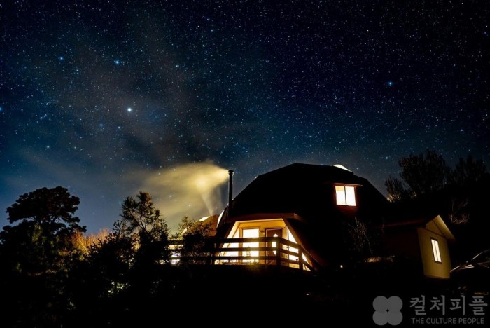 전세계 이색 숙소 구경하며 코로나블루 달래볼까? 에어비앤비, 개성만점 매력 지닌 자연 속