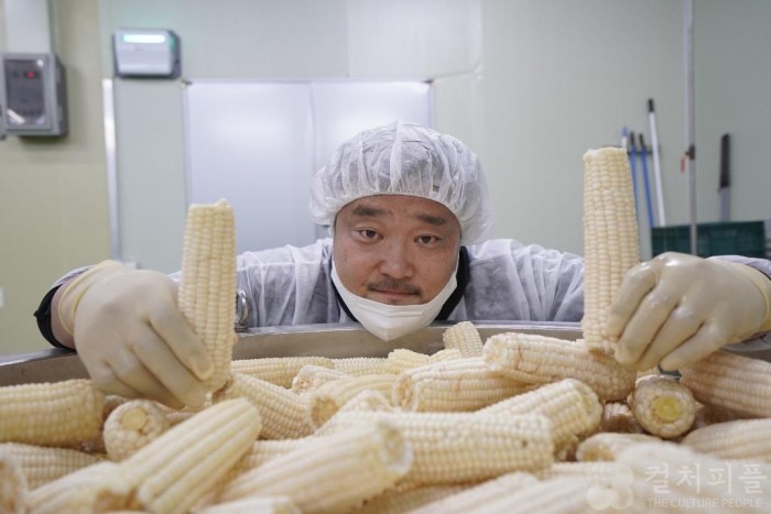 CJ ENM 다이아 티비, 「농어촌상생 프로젝트」 4탄 '홍천 유기농 삶은 찰옥수수' 론칭