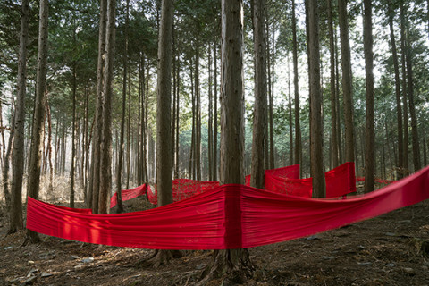 갤러리 강호, ‘정하뉘 - 춤:舞’ 기획전 8월 30일 오전까지 진행