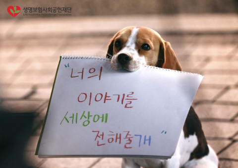 생명보험재단, 자살예방 캠페인 ‘다 들어줄 개’ PR계의 노벨상 IPRA GWA 위너로 선