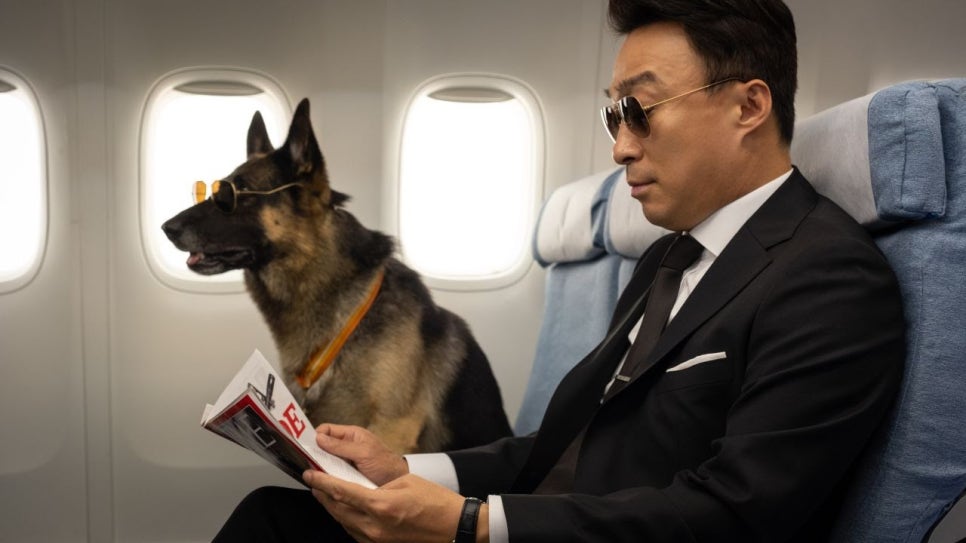 왓챠, ‘동물과 인간의 우정 이야기’로 편안한 재미와 감동 선물