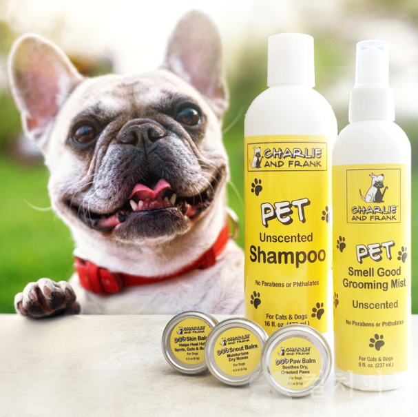 펫코노미 6조원 시대...반려인들 지갑 활짝