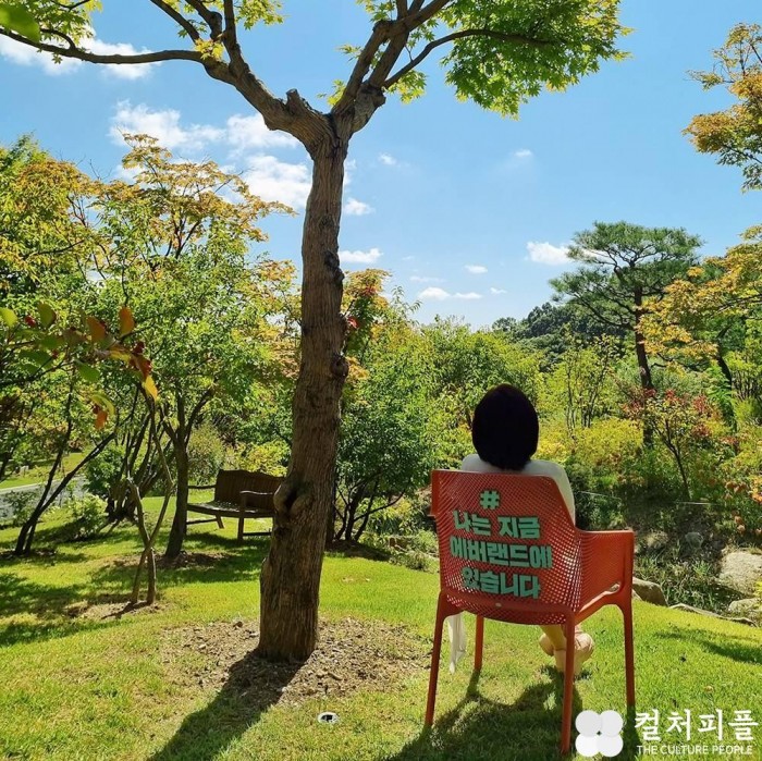 여유∙오붓∙짜릿…에버랜드, 숲 속에서 만나는 오색빛깔 가을 단풍