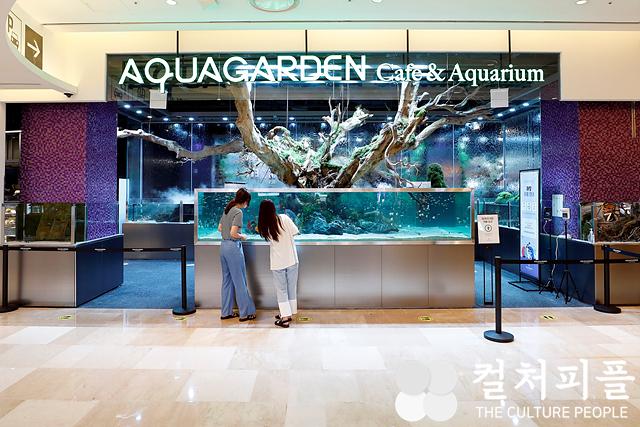 롯데월드몰, MZ세대 겨냥한 ‘영럭셔리’부터 ‘자연친화’ 콘셉트까지...새 매장 선보여