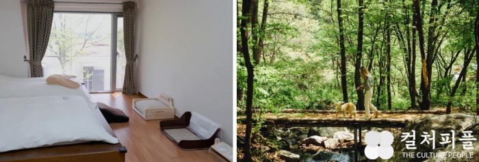 “반려견과 함께 하는 자연 속 힐링” 힐리언스 선마을, 반려견 동반 숙소 ‘힐리펫룸’ 오픈
