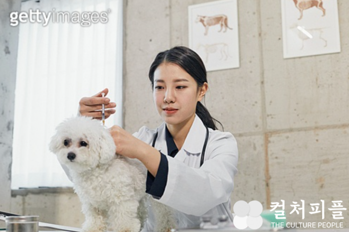 세계 1호 코로나19 감염 동물치료제 국내서 도전