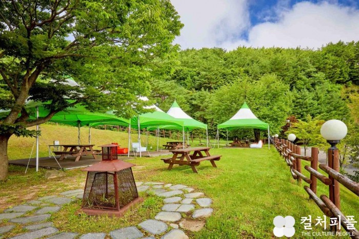 대면 접촉 피해 봄나들이 수요 호텔로…다채로운 뉴노멀 호캉스 패키지로 고객 맞이