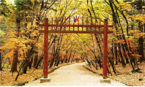 궁능유적본부, 현재 정비 중인 11개소 숲길 중 순차 공개