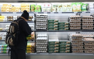 "아침마다 달걀 꼭 챙겨 먹었는데"…몇 달 사이에 무슨 일이