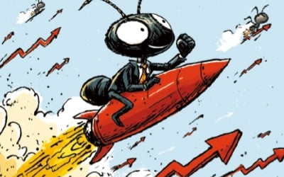 '미쳤다' 비명 터졌는데…'1조 풀베팅' 개미들 일냈다